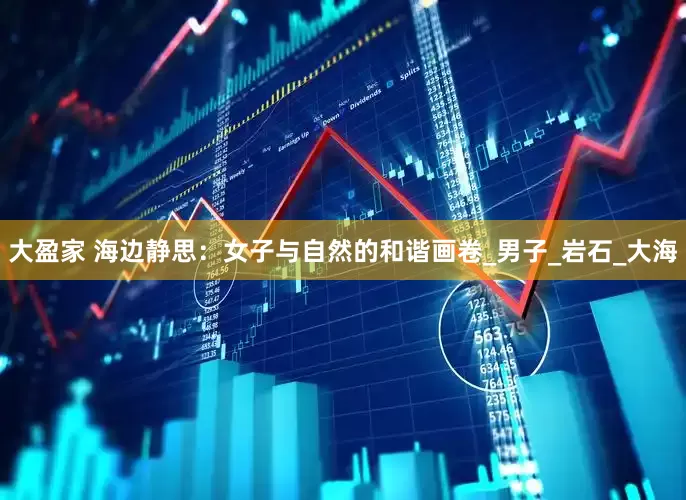 大盈家 海边静思：女子与自然的和谐画卷_男子_岩石_大海