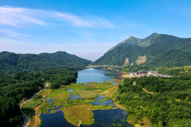 月坝奇缘之蛟龙打工记央视频全网首播 打卡利州美景