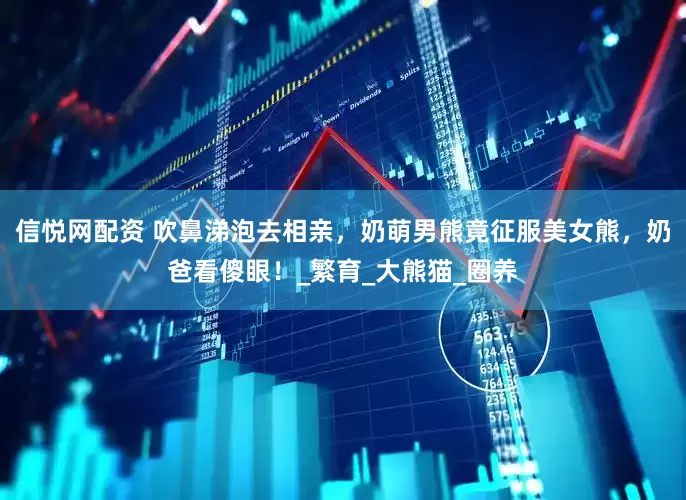 信悦网配资 吹鼻涕泡去相亲，奶萌男熊竟征服美女熊，奶爸看傻眼！_繁育_大熊猫_圈养