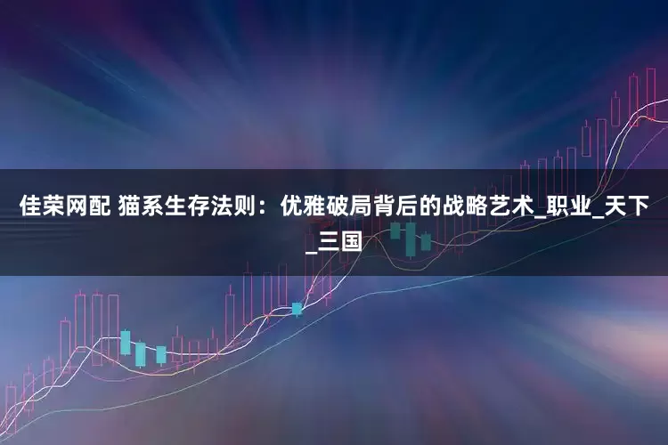 佳荣网配 猫系生存法则：优雅破局背后的战略艺术_职业_天下_三国